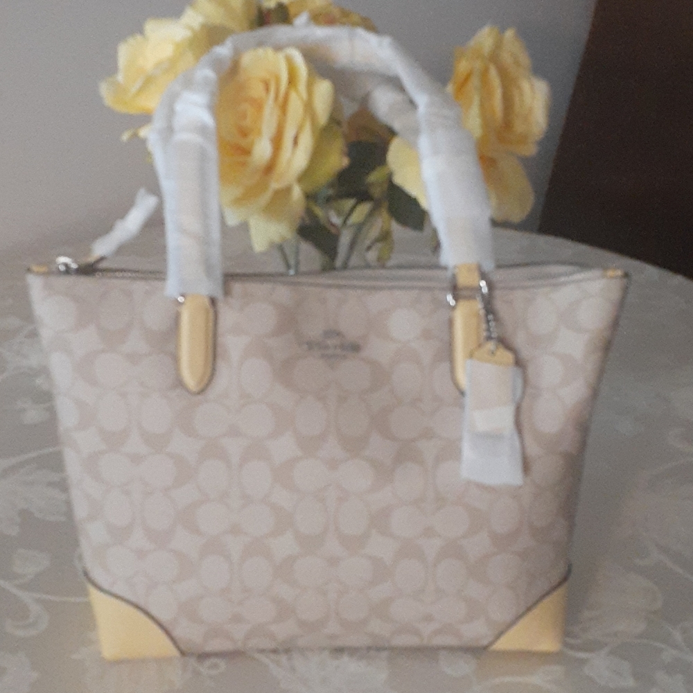 Handbag